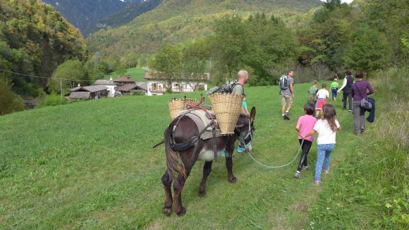 Adulti e bambini al Trek con gli asini di AKU