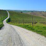 Strade sterrate marchigiane dell'Italia Coast 2 Coast