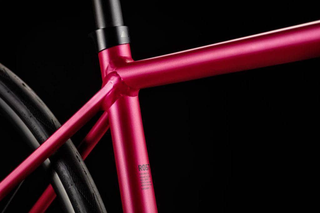 Endurace WMN AL Disc 7.0 by Canyon