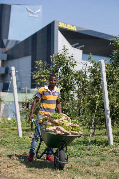L'orto di Salewa, Lamin_1, Gambia(foto ©g.pichler)