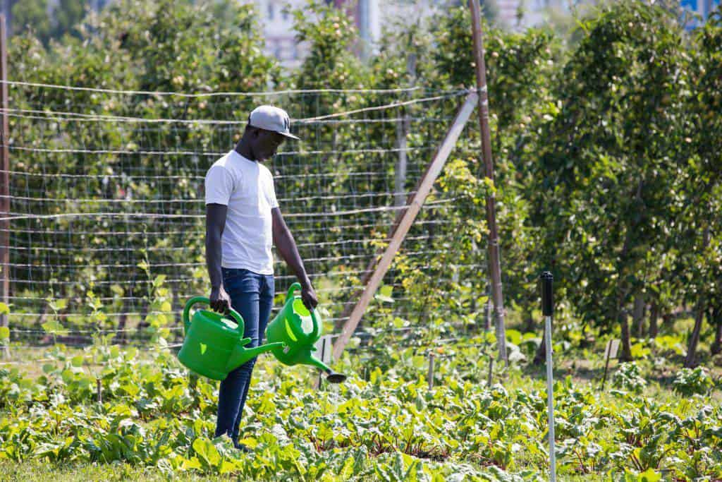 L'orto di Salewa, Modou, Senegal (foto ©g.pichler)