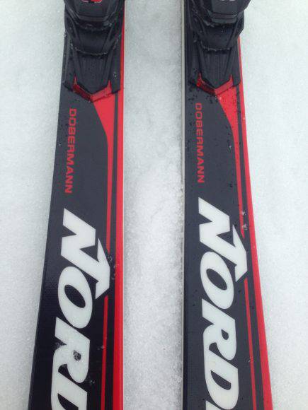 Serigrafia del Dobermann Spitfire Ti Evo 2017