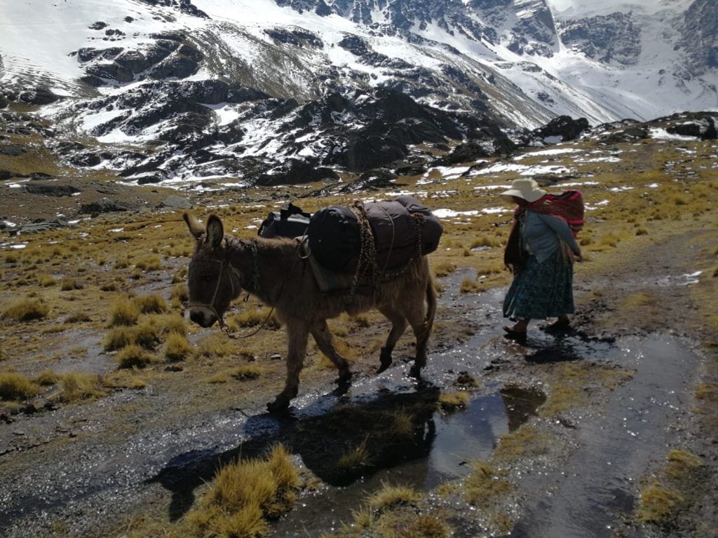 In viaggio verso le montagne