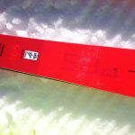 I dettagli sullo sci Atomic Redster S9 Fis