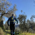 Leki Micro Vario Carbon, bastone da trekking, in azione tra gli ulivi