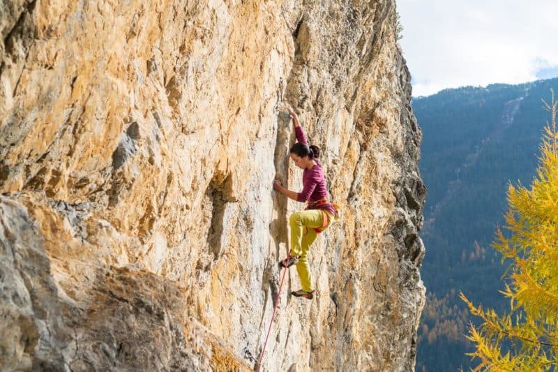 Monotipo Isolaccia Ph by: Giacomo Meneghello