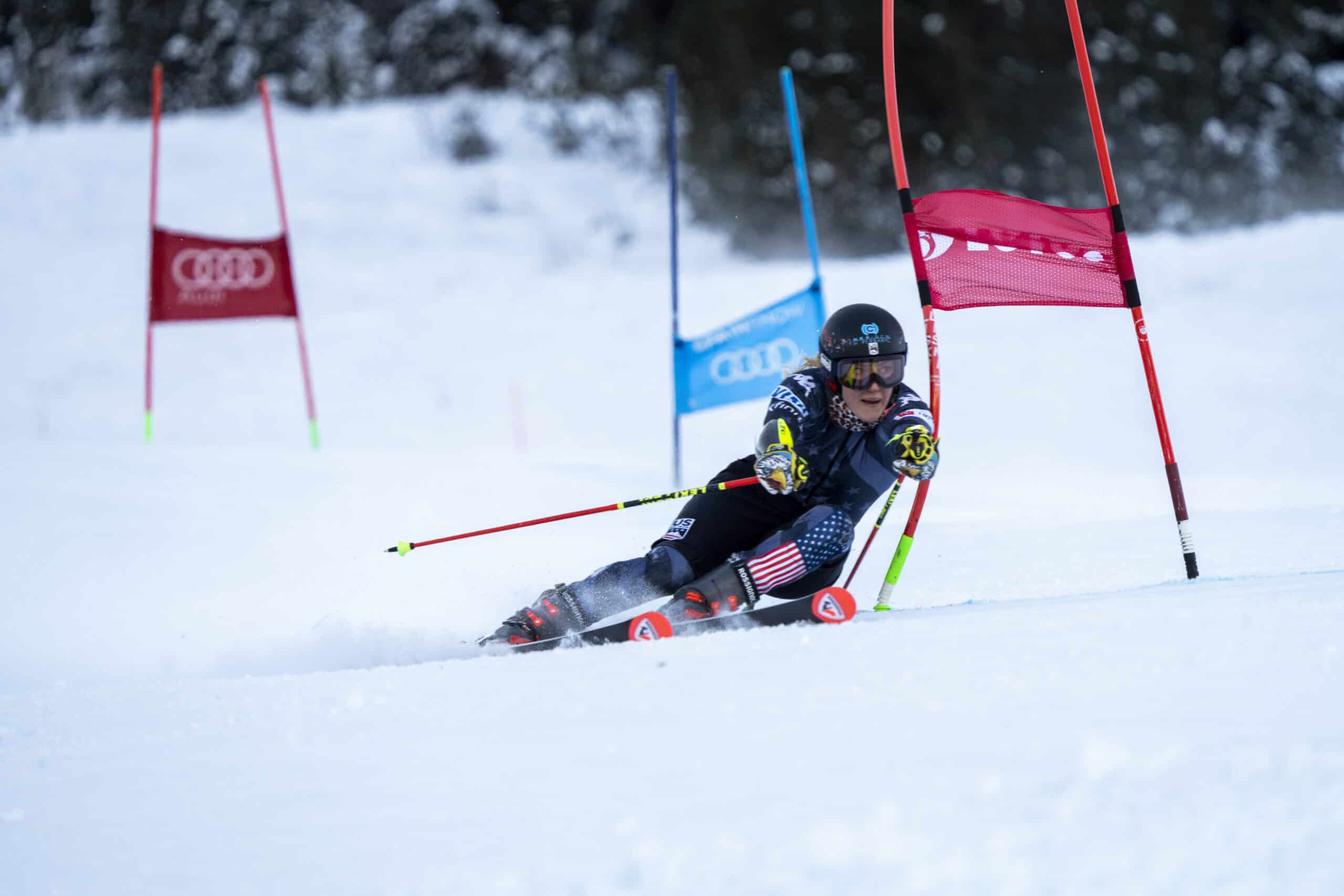 Slalom Gigante