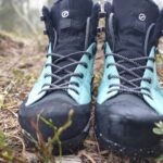 Scarpa Mescalito TRK Planet GTX WMN 2023