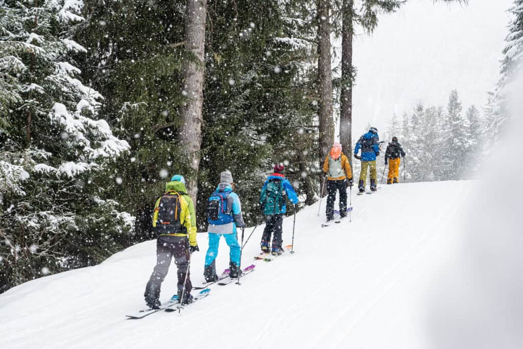 Un'Experience di Skimofestival 2025 nel tracciato Le sorgenti. (Ph. G. Meneghello)