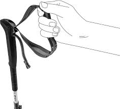 Leki Skytera FX Carbon SL